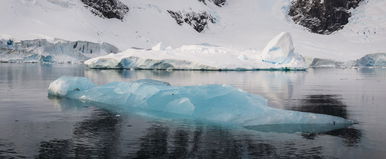 Itt a fotó, az Antarktisz alatt egy valódi szörnyeteg bujkál