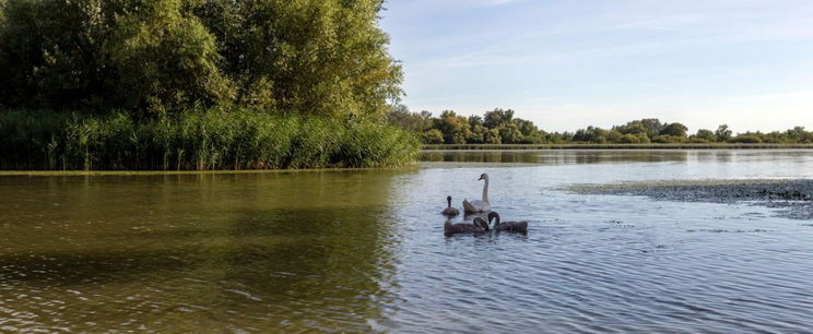 Kísértetfalu bukkant fel a Tisza-tónál, hátborzongató módon a lakói is visszajártak