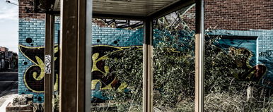 Elhagyatott magyar strandot találtak egy erdő közepén, szívszorító látvány, ahogy elrohad az egykor imádott hely