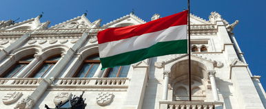 Meg akarták változtatni a magyar zászló színeit, kikerültek a rendkívüli tervek, rá sem ismersz a trikolórra