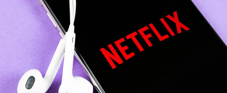 A Fidesz egyik fő arca számolt be a Netflix bukásáról, valaki szemet vetett rá