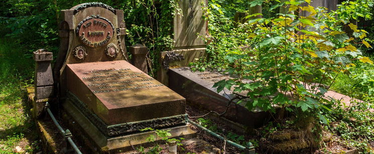 Sokk egy elhagyott magyar temetőben, a földből lógott ki az iszonyatos dolog
