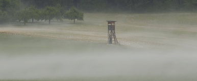 Ebben az egy vármegyében már holnap kemény fagy fog lecsapni, megírták, hogy lesz-e eső - Időjárás-előrejelzés