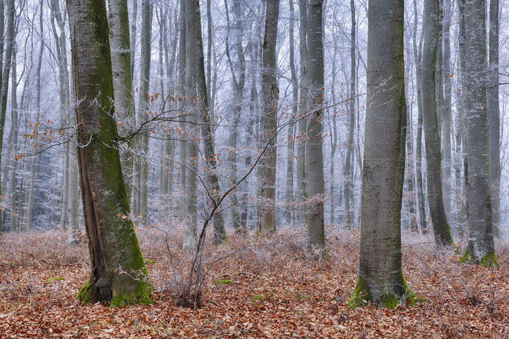 Ízelítőt kapunk a télből, komoly hőingadozással kell számolni, kelleni fog a vastag kabát