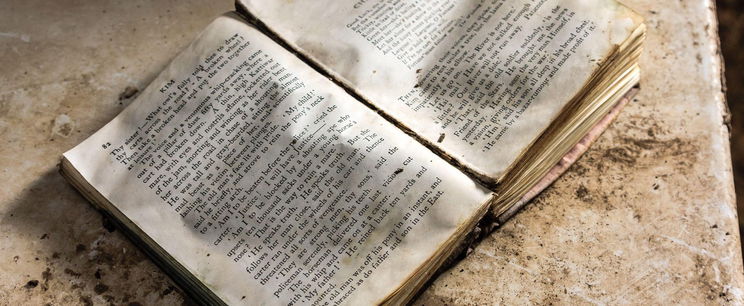 Ettől a 3 magyar szótól minden szlovák retteg, brutális jelentése van