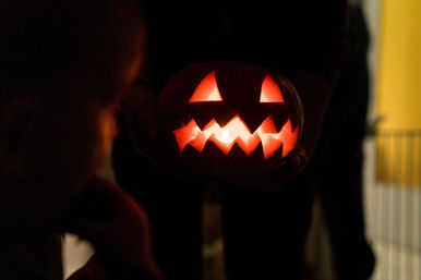 Rendkívüli fordulat a zebegényi tökfaragási botrányban, olyan akció kezdődött, ami még nem történt Magyarországon