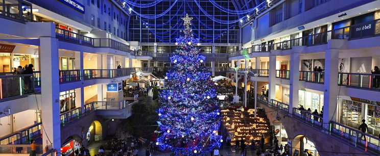 Irgalmatlanul megdrágul a magyar karácsonyok nélkülözhetetlen étele, szakértő magyarázta el, miért
