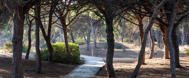 Új erőmű épül az ország közepén, önkívület állapotban az egyik vármegye lakói