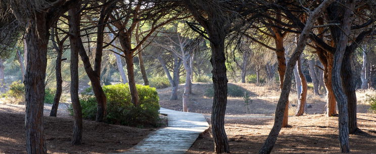 Új erőmű épül az ország közepén, önkívület állapotban az egyik vármegye lakói