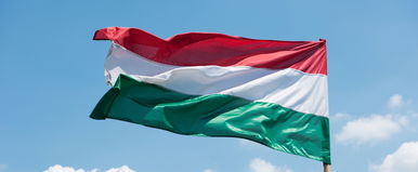 Irdatlan magyar káromkodás szelte ketté Amerikát, a szó megfejtéséhez professzorok kellenek