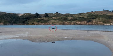 Futásnak eredtek a Duna-parton, bizarr halszörnyet fogott ki a magyar férfi