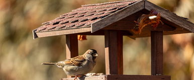 Most jött a hír, brutális dolog került nyilvánosságra Manófalva rongálóiról