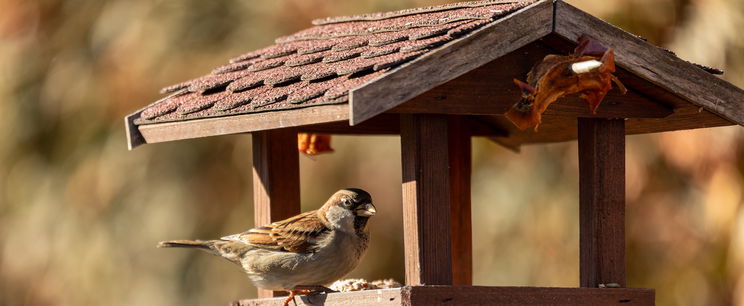 Most jött a hír, brutális dolog került nyilvánosságra Manófalva rongálóiról