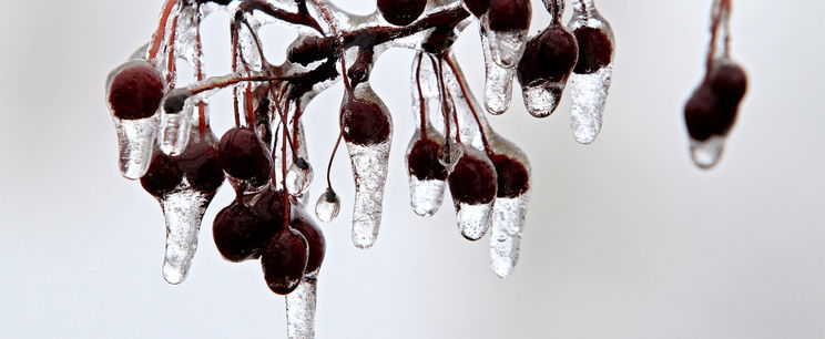 Megírták az időjósok, ekkor érkezik az eső, sárga jelzés van érvényben három vármegye kivételével - Időjárás-előrejelzés