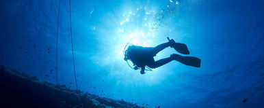 Idegen lények jöttek szembe a búvárokkal a Mariana-ároknál, ez az első találkozás a fura teremtményekkel