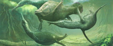 400 millió éves fenevaddal találkozott egy búvár a tenger mélyén, még dinoszauruszokkal is találkozott ez a faj, őket is túlélte