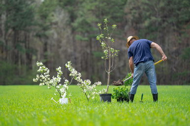 Megakadt a férfi ásója kertásás közben, amit talált, attól örökre megváltozott az élete
