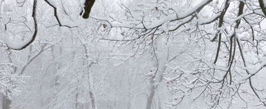 Vége a havazásnak, máris újabb ciklon csap le az országra, ezt bizony meg fogjuk érezni – Időjárás-előrejelzés