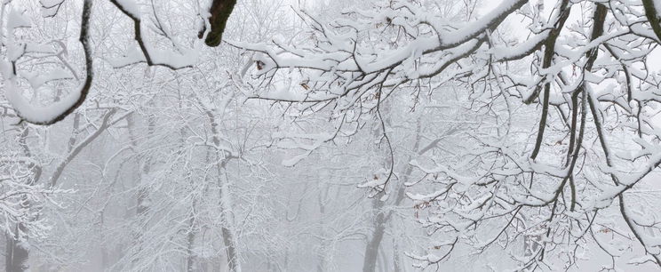 Vége a havazásnak, máris újabb ciklon csap le az országra, ezt bizony meg fogjuk érezni – Időjárás-előrejelzés