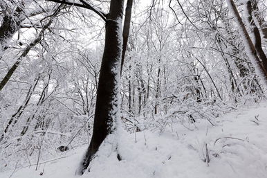 Öklömnyi hóréteg borítja Magyarország egy részét, kőkemény tél vár az országra