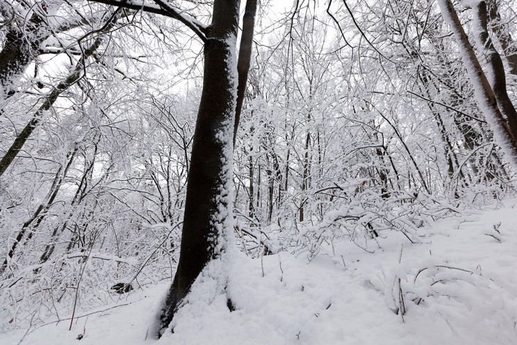 Öklömnyi hóréteg borítja Magyarország egy részét, kőkemény tél vár az országra