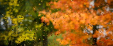 Hét vármegye tocsog a locsogósban, fehér hó után sárga riasztás teríti be a térképet - Időjárás-előrejelzés 