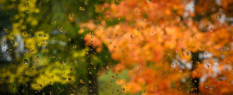 Hét vármegye tocsog a locsogósban, fehér hó után sárga riasztás teríti be a térképet - Időjárás-előrejelzés 