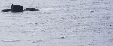 Magyar kislány fogott dunai halszörnyet, azt hittük már kihalt ez a dinoszaurusz