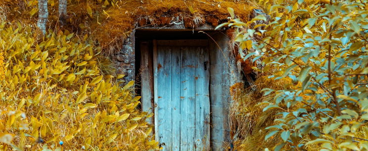 Titkos ajtót fedeztek fel a Duna-parton, amikor a turista kinyitotta, lefagyott a meglepetéstől