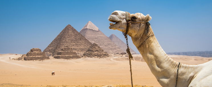 Ők építették az egyiptomi piramisokat, ez felkavaró fordulat, már a tudomány sem ellenkezik, hogy közölje a hírt