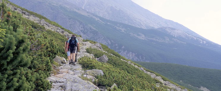 Itt találhatók a csitári hegyek, tényleg léteznek, a pontos helyüktől lesokkolsz, a térkép nem mutatja ezeket