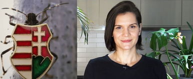 Itt a vége, Pottyondy Edina elsöprő bejelentést tett, a 2026-os választások állnak a háttérben