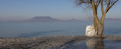 Világszenzáció lett, a Balatonnál készült fotón olyan dolog tűnik fel, ami példátlan a világon