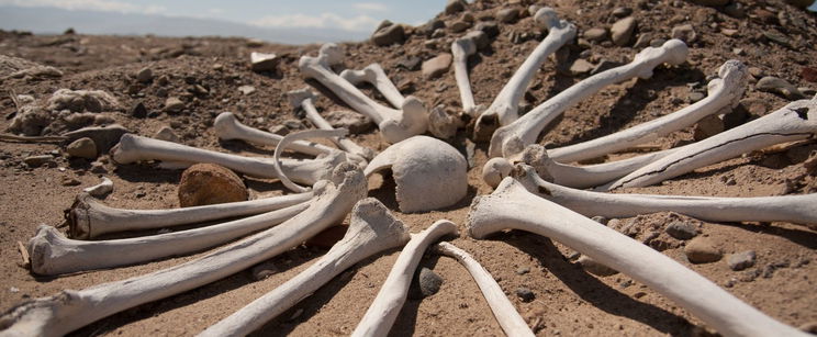 Iszonyatos ősi csontpiramist találtak Amerikában, a tudósok a halál leheletét érezték a tarkójukon a felfedezésnél