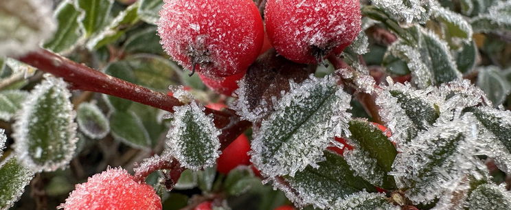 Hamarosan berobban a tél, a hidegpárna lecsap az országra, vége a szokatlan melegnek? Időjárás-előrejelzés 