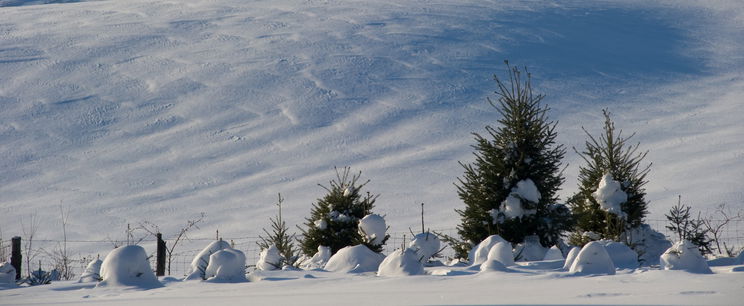 Ekkor tör be a havazás hazánkba, a dátum sokakat elborzaszt majd, jelenleg ezt mondják az időjárás-előrejelzések?