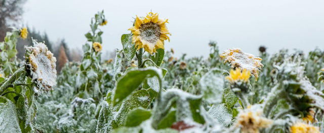 14 vármegyére adták a ki a figyelmeztetést, végre érkezik a havazás és az igazi tél? Valami közeleg - Időjárás-előrejelzés