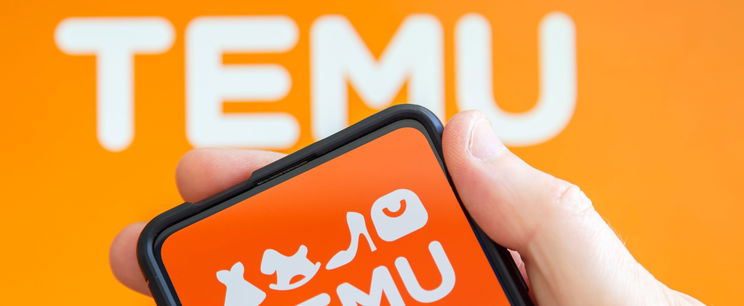 Leizzadsz, ha ezt megtudod a Temuról, brutális titok szivárgott ki