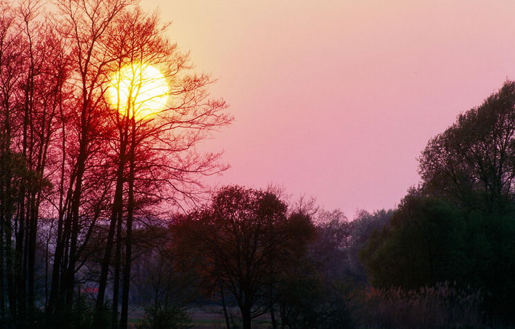 Több száz kilós fenevadak úsztak át egy magyarországi folyón, még a kamera sem hitte el, amit rögzített a horgász
