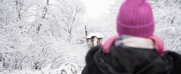 Kiadták a veszélyjelzést, 2 vármegye is sárgán villog Magyarország időjárás-térképen – Előrejelzés, hóhelyzet