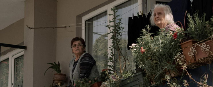 Ennél pofátlanabb szomszéd nem létezik, undorító videó kavarta fel az internetet