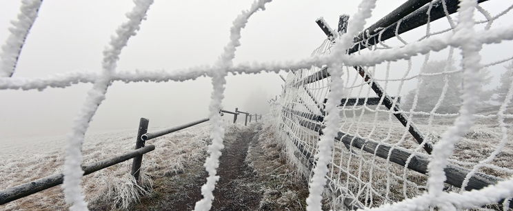 Pontos szám érkezett, ennyire lesz havas a hétvége és a karácsony - Időjárás-előrejelzés