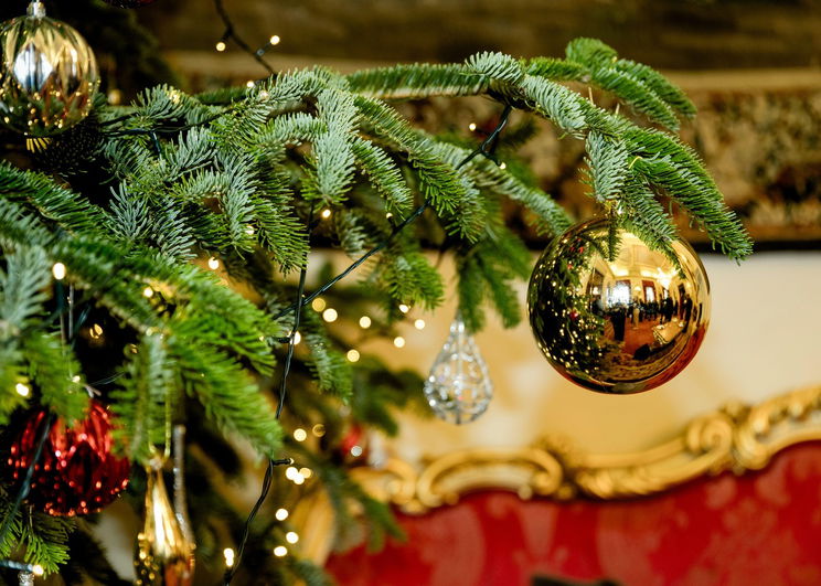 Petőfi Sándor teljes sokkban töltötte az utolsó karácsonyát, furcsa idegenek tették tönkre a fiatalok ünnepét