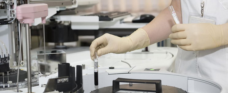 Ígéretes áttörés, ez az apró állat hatékonyabban segíthet a rák kezelésében mint a kemoterápia