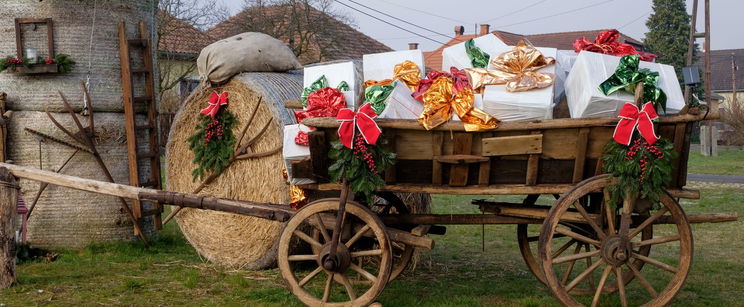 Egy magyar szülinapi ajándék robbantotta fel az internetet, a fél világ ezen a meglepetésen röhög