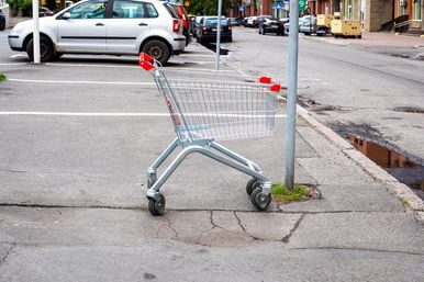 Többszázkilós fenevad okozott felfordulást egy hazai bevásárlóközpontnál, a vásárlók alig akartak hinni a szemüknek