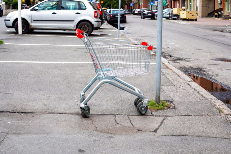 Többszázkilós fenevad okozott felfordulást egy hazai bevásárlóközpontnál, a vásárlók alig akartak hinni a szemüknek