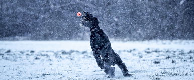Több vármegye is narancssárgában úszik, hóvihar készülőben, zuhanórepülésben a hőmérséklet