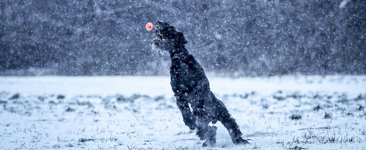 Több vármegye is narancssárgában úszik, hóvihar készülőben, zuhanórepülésben a hőmérséklet