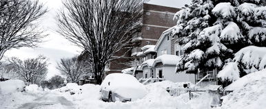 Csodájára jár a világ a magyar lakótelepnek, páratlan hószörny tűnt fel a kertekben